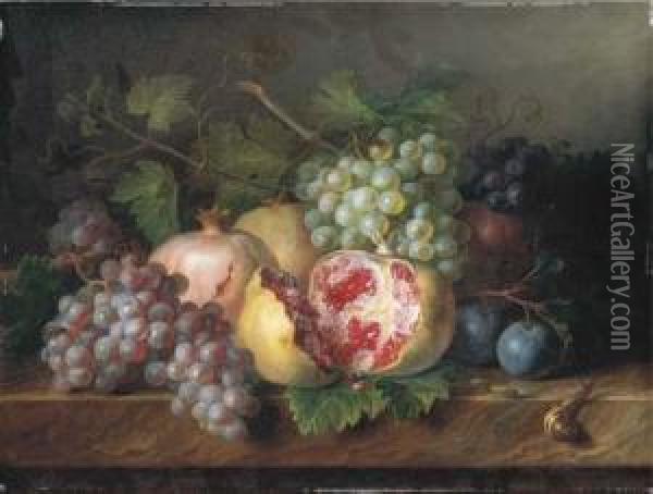 Pomegranates, Grapes And Plums With A Snail And A Caterpillar On Amarble Ledge Oil Painting - Cornelis van Spaendonck