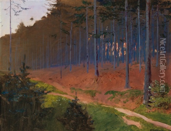 Forest Path Near Weinzierl  (according To Tradition) Oil Painting - Gustav Bamberger