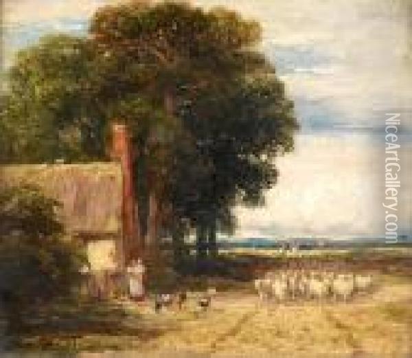 Country Landscape With A Shepherd And Sheep Oil Painting - David I Cox