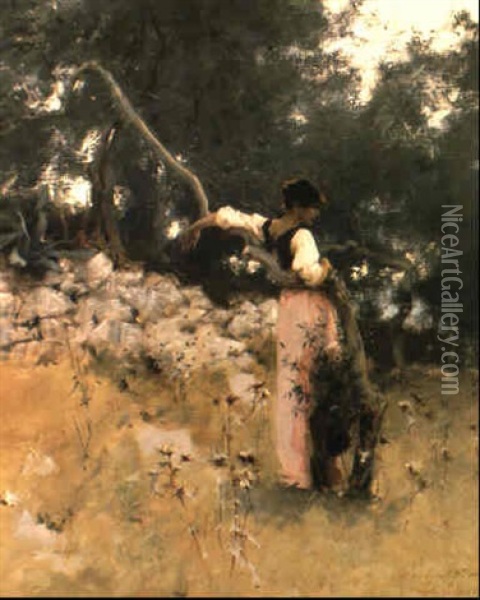 Capri Girl (dans Les Oliviers, A Capri) Oil Painting - John Singer Sargent