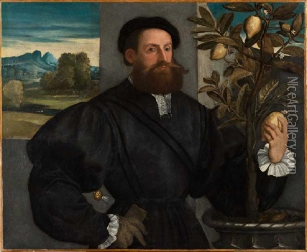 Portrait D'homme Cueillant Des Citrons Oil Painting - Giovanni Cariani