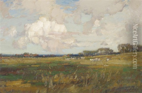 Sheep Grazing In A Sunlit Meadow, Possible The Vale Of York Oil Painting - Kershaw Schofield