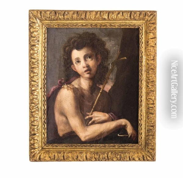 Der Junge Johannes Der Taufer Oil Painting -  Parmigianino