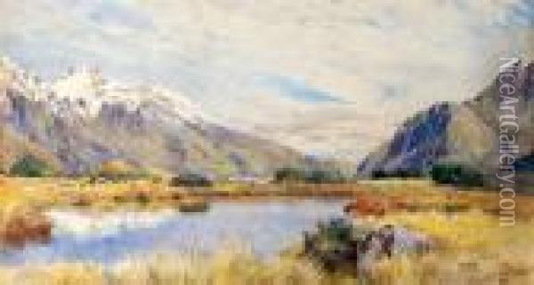 Pool Near Hermitage, Mt Cook Oil Painting - Charles Nathaniel Worsley