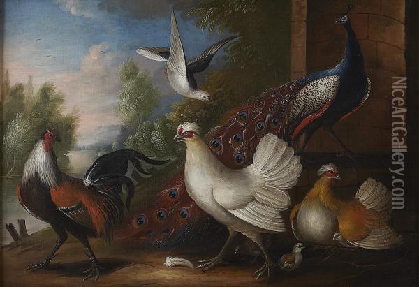 Ornamental Fowl In A Garden Oil Painting - Marmaduke Cradock