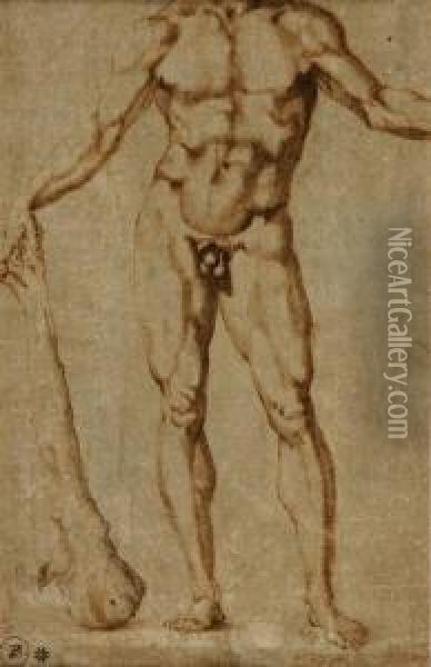 Italian, - Study For A Figure Ofhercules Oil Painting - Baccio Bandinelli