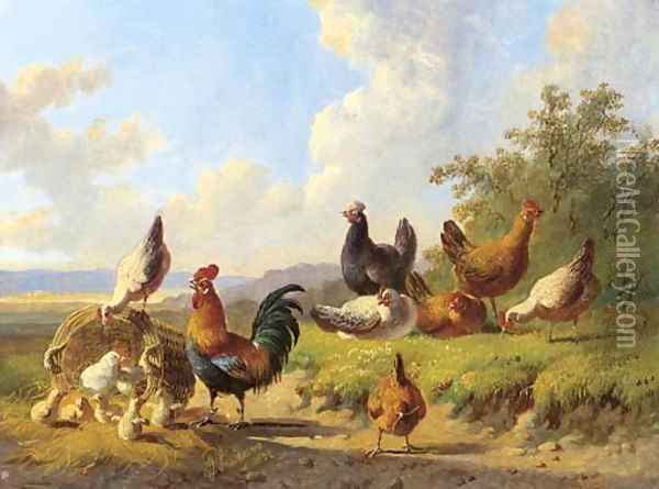 Poultry in a meadow Oil Painting - Albertus Verhoesen