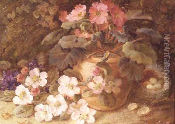 Still Life with Apple Blossom, Primula and Bird's Nest Oil Painting - Vincent Clare