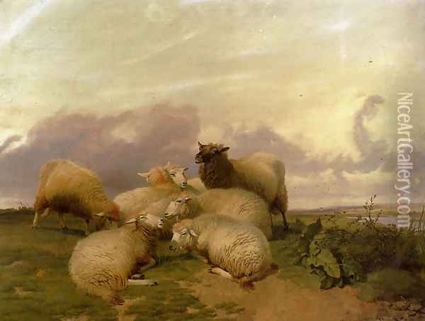 Sheep In Canterbury Water Meadows Oil Painting - Thomas Sidney Cooper