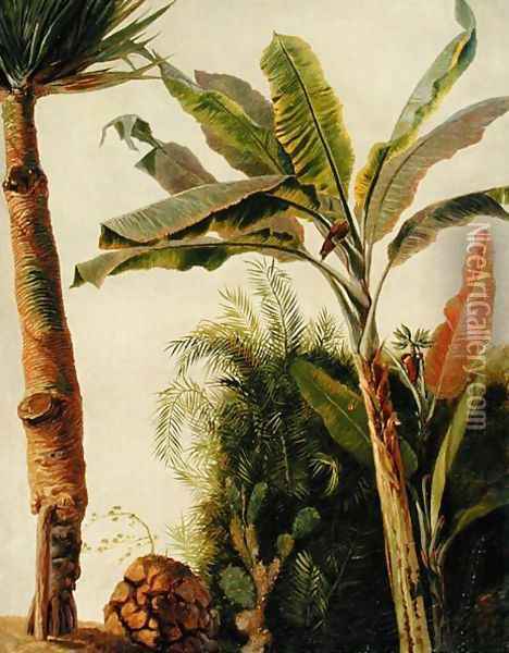 Banana Tree, c.1865 Oil Painting - Frederic Edwin Church