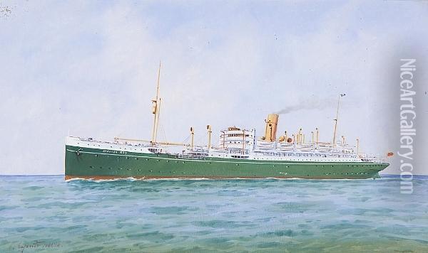 Ss Moreton Bay On Open Waters Oil Painting - Vincenzo D Esposito