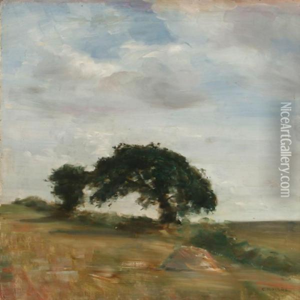 Landscape With Old Treesand High Sky Oil Painting - Carl Vilhelm Holsoe