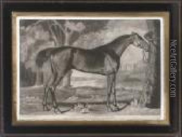 Pangloss Belonging To Lord Grosvenor Oil Painting - George Stubbs