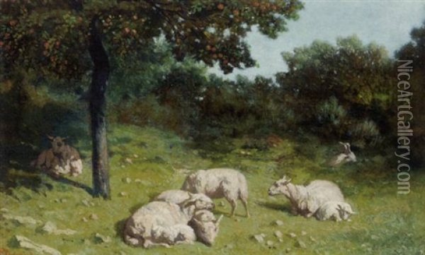 Sheep Resting Under The Apple Tree Oil Painting - Charles-Edouard Elmerich