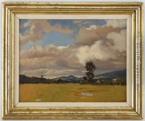 Paysage Des Environs De Geneve Oil Painting - Albert Lugardon