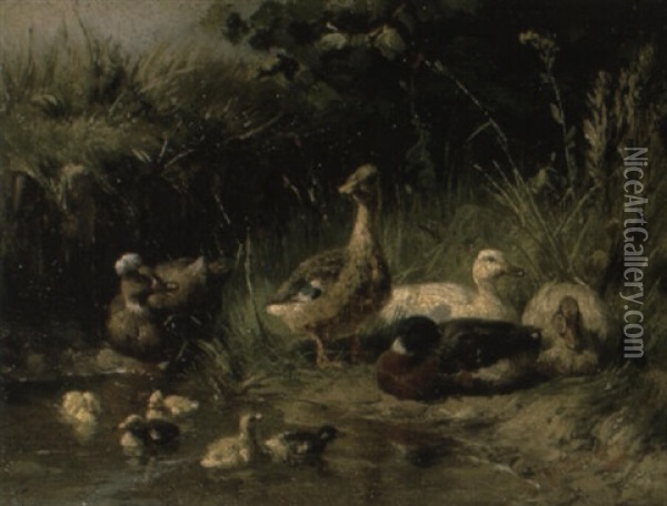 Ducks By A Pond Oil Painting - Antonis Matteo Montemezzo