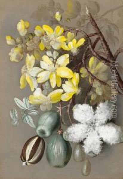Still Life With Flowers Oil Painting - Marian Ellis Rowan