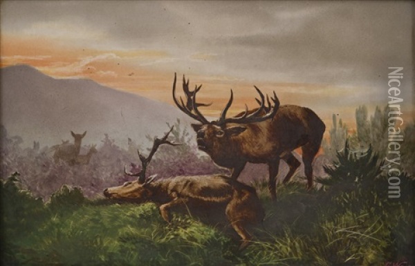 Cerf Agonisant Oil Painting - Emile Georges (Geo) Weiss
