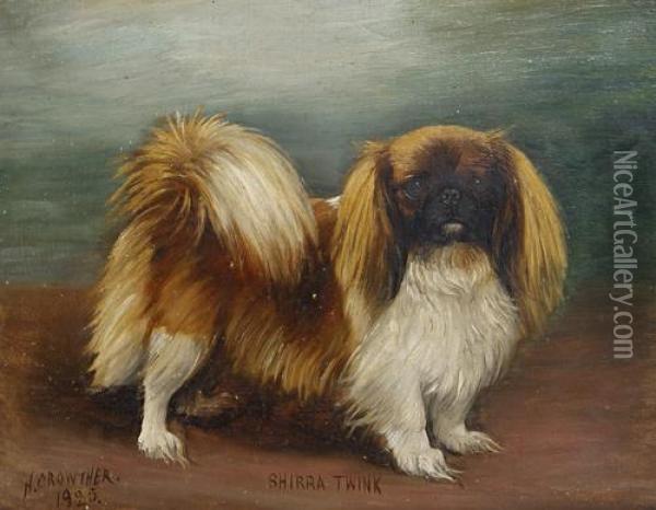 'shirra Twink' - A Pekingese Oil Painting - Henry Crowther