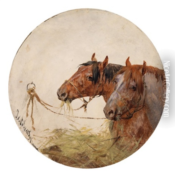 Pferdeportraits Oil Painting - Julius von Blaas