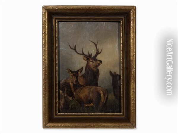 Deer, Hind And Calf Oil Painting - Franz Xaver von Pausinger