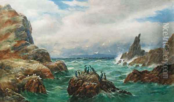 Wild Heather on the Achill Coast, Blacksod Bay, Co. Mayo Oil Painting - Alexander Williams