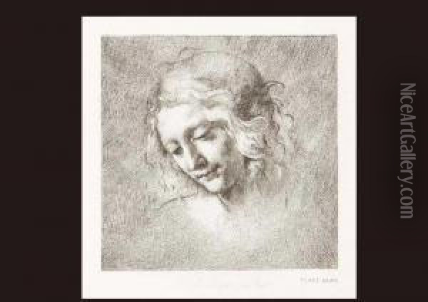Girl Oil Painting - Leonardo Da Vinci