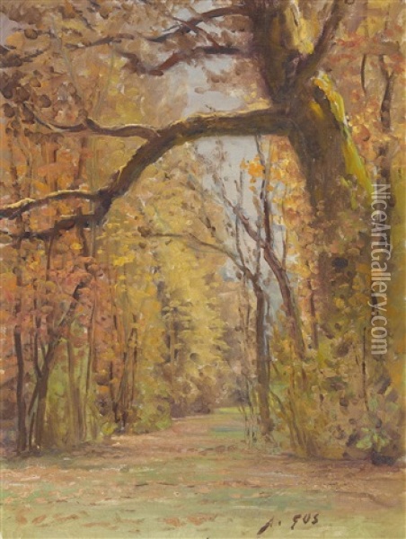 Herbstlicher Waldweg Oil Painting - Albert Henri John Gos