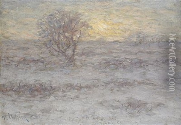 Landskap I Soldis Oil Painting - Per Ekstroem