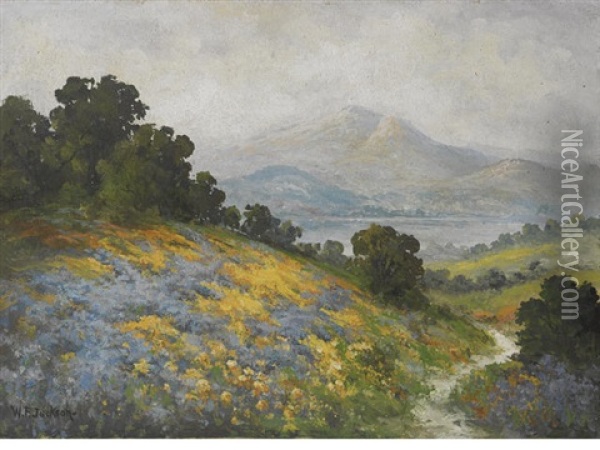 Wildflowers With Mount Tamalpais Beyond Oil Painting - William Franklin Jackson