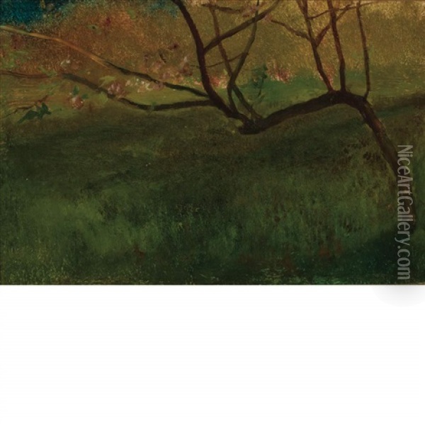 Study Of Apple Tree, Spring Oil Painting - John La Farge