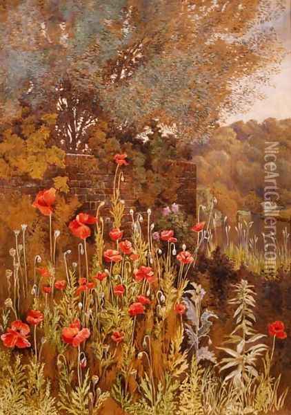 Poppies on a River Bank Oil Painting - Charles Robertson