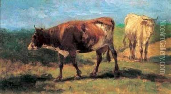 Mucche Al Pascolo Oil Painting - Alceste Campriani