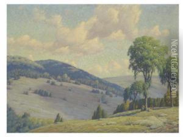 Summer Landscape Oil Painting - Andrew Thomas Schwartz