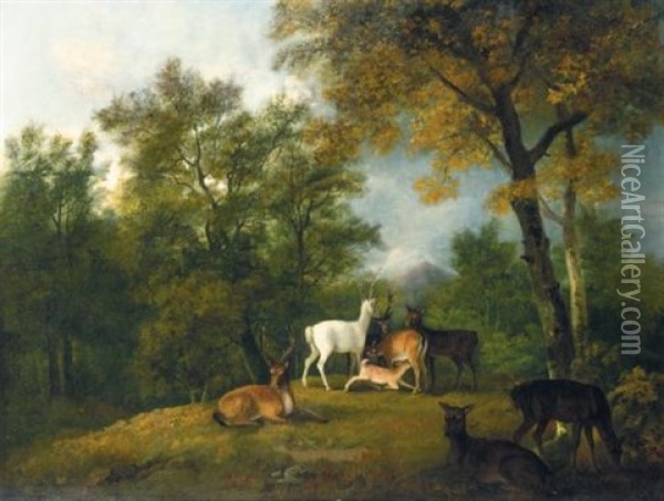 Red Deer Grazing Beneath Trees (collab.w/sawrey Gilpin) Oil Painting - George Barret