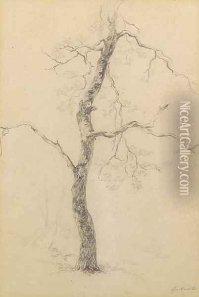 A study of a tree Oil Painting - Paul Joseph Constantine Gabriel