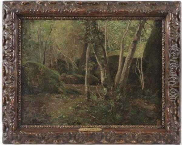 Rochers A Fontainebleau Oil Painting - Auguste Allonge