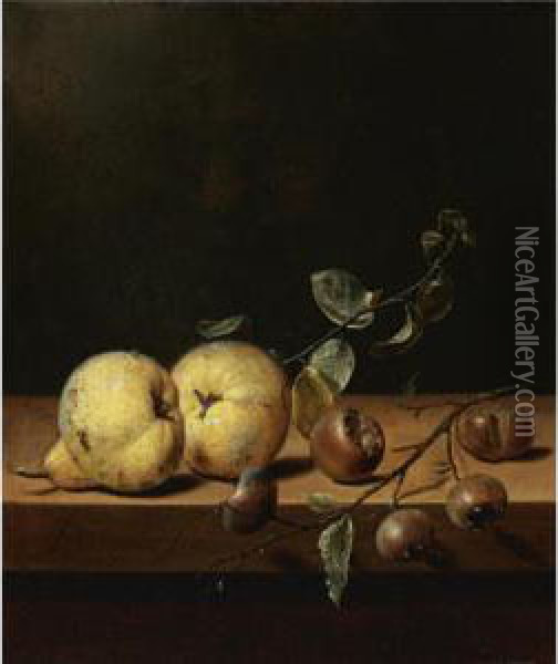 Quinces And Medlars On A Table Ledge Oil Painting - Jan III van de Velde