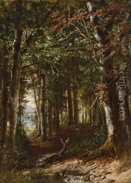 Reh Im Wald Oil Painting - Eduard Heinel