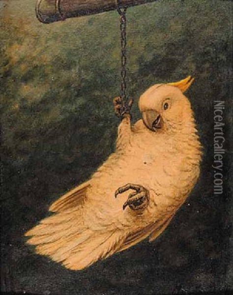 Untitled - Parrot Oil Painting - Marinus Adrianus Koekkoek the Younger