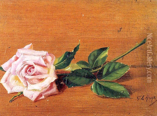 Rose 1887 Oil Painting - Ferenc Martyn