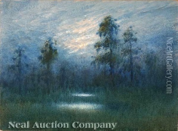 The Mystery Of The Twilight In The Louisiana Swamp Oil Painting - Alexander John Drysdale