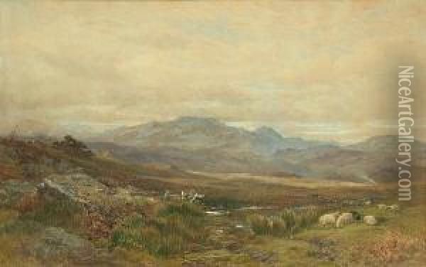 Sheep In A Scottish Landscape Oil Painting - James William Whittaker