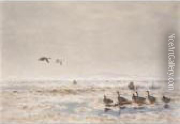 Flyttfaglar (migrating Wild Geese) Oil Painting - Bruno Andreas Liljefors