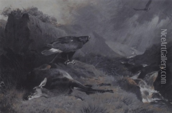 The Dead Hind Oil Painting - Archibald Thorburn