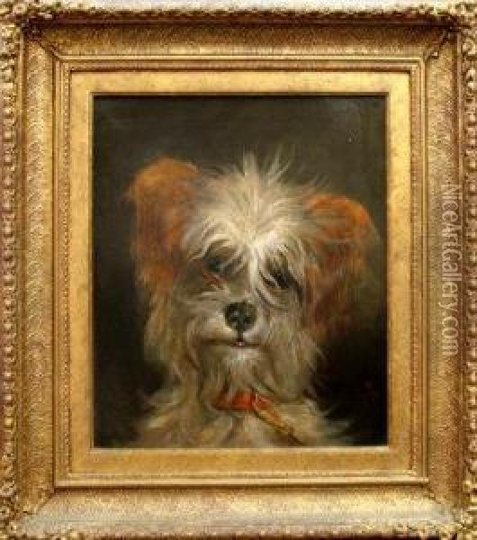 A Yorkshire Terrier Oil Painting - John Sutcliffe