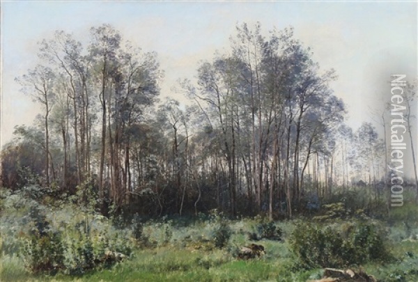 A Forest Clearing Oil Painting - Janus la Cour