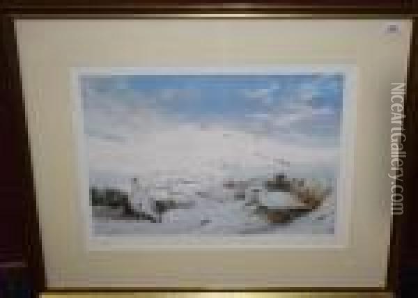 Winter Ptarmigan Oil Painting - Archibald Thorburn