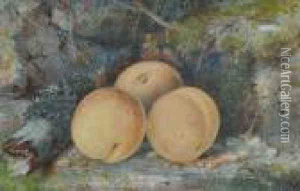Still Life Study Peaches On A Mossy Bank Oil Painting - William Henry Hunt