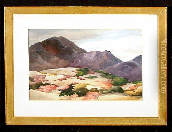 Hills And Verbena Oil Painting - Frederick Murray Johnson